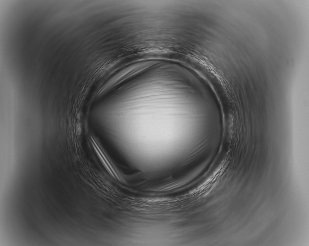 X0000096191257200802081513