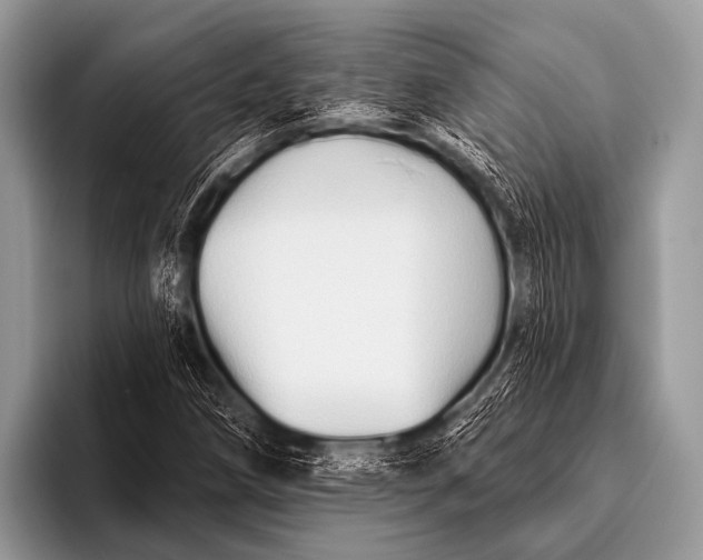 X0000096191258200802081513