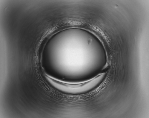 X0000096191261200802081513