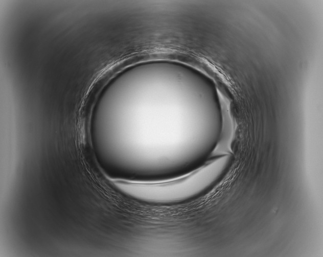 X0000096191262200802081513