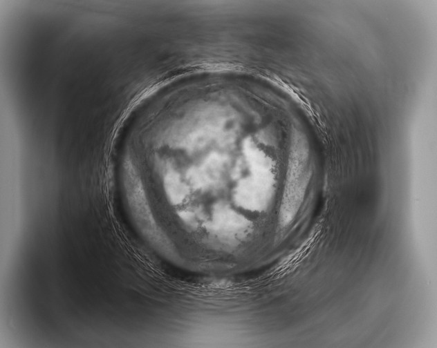 X0000096191263200802081512