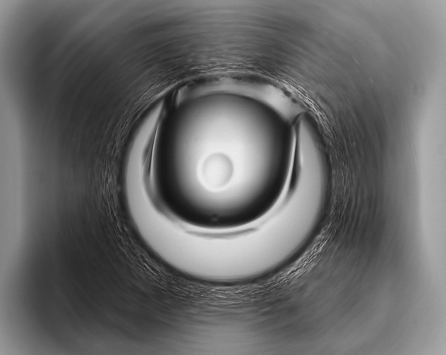 X0000096191265200802081512