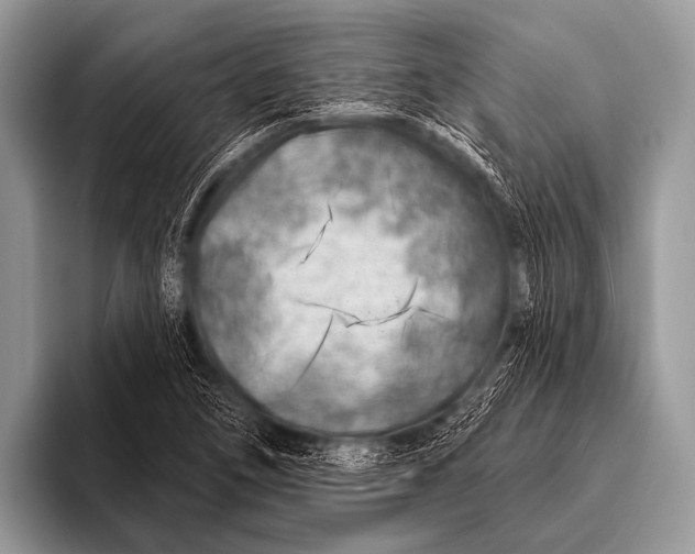 X0000096191266200802081512