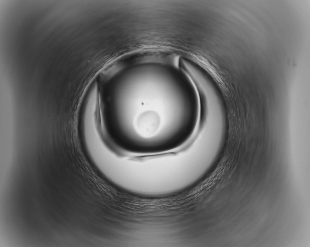 X0000096191268200802081512