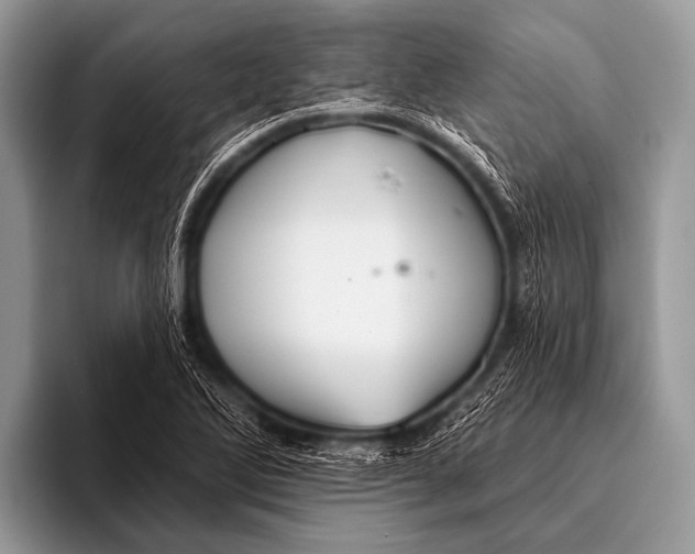 X0000096191270200802081512