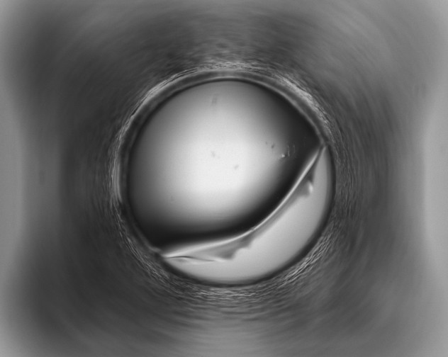 X0000096191272200802081512