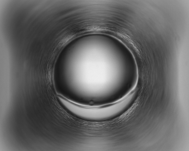 X0000096191273200802081512