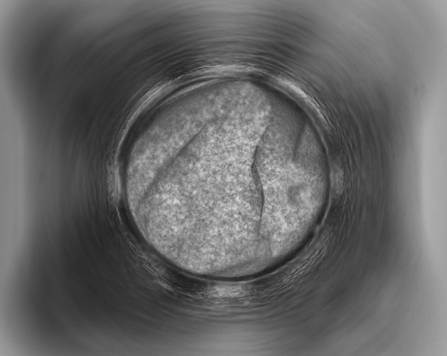 X0000096191274200802081512