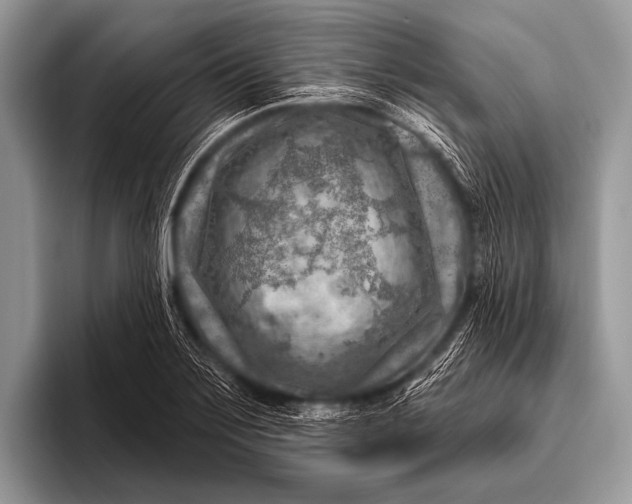 X0000096191275200802081512