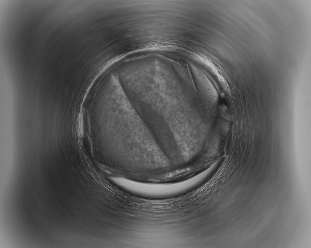 X0000096191276200802081512