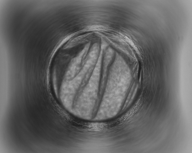 X0000096191277200802081512