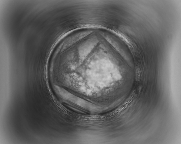 X0000096191279200802081512