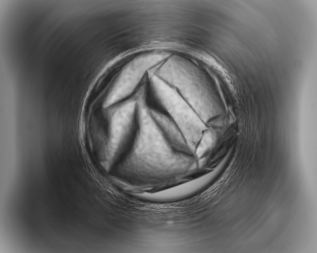 X0000096191280200802081512