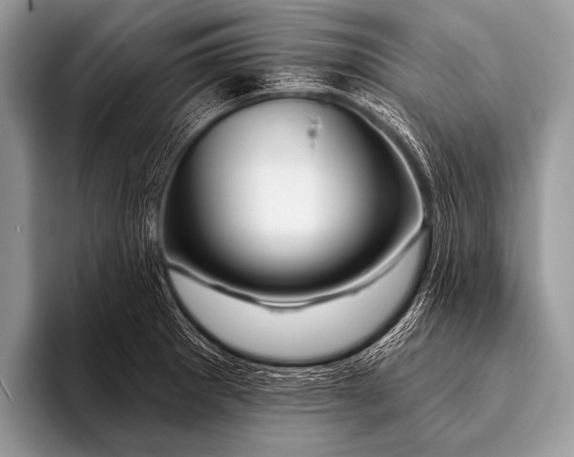 X0000096191281200802081512