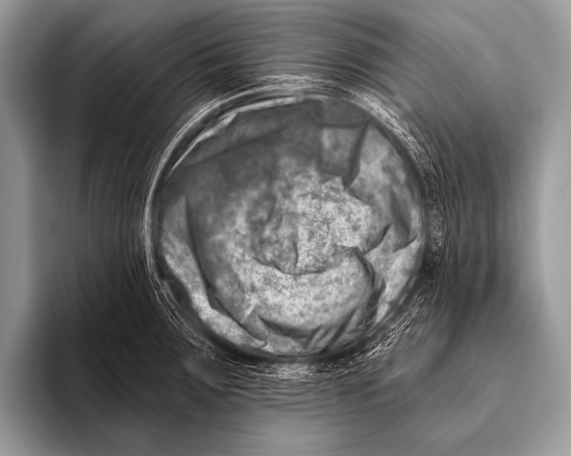 X0000096191283200802081512