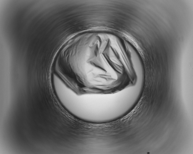 X0000096191284200802081512