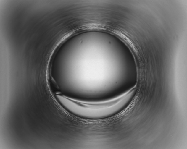 X0000096191285200802081512