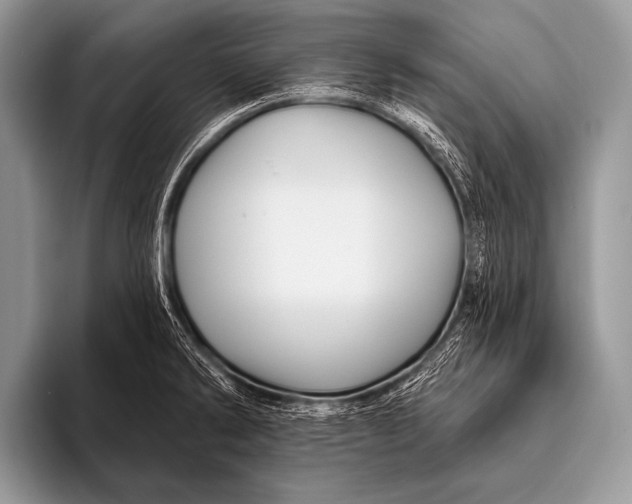 X0000096191286200802081512