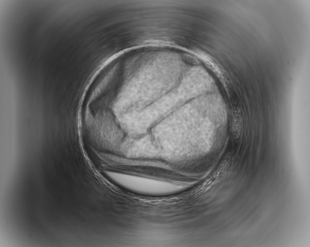 X0000096191287200802081512