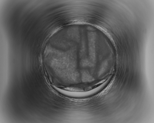 X0000096191289200802081512