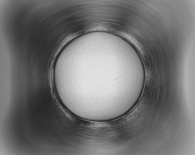 X0000096191290200802081512