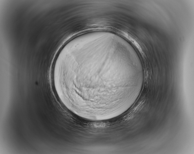 X0000096191291200802081512