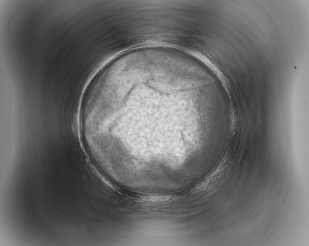 X0000096191294200802081512