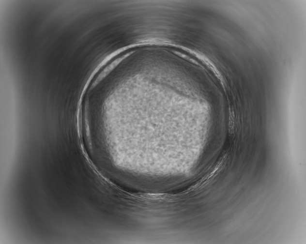 X0000096191295200802081512