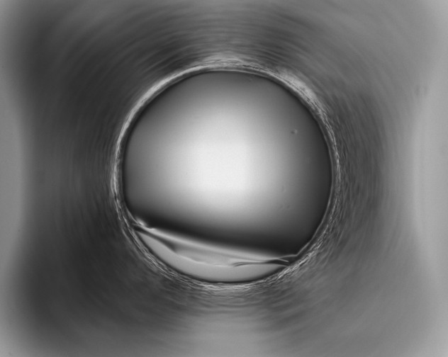 X0000096191296200802081512