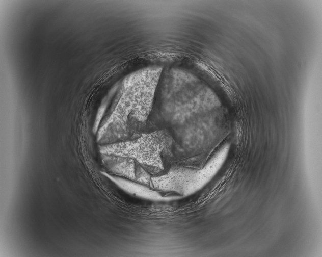 X0000096191297200802081511