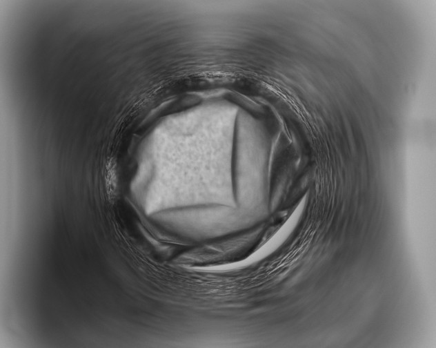 X0000096191298200802081511