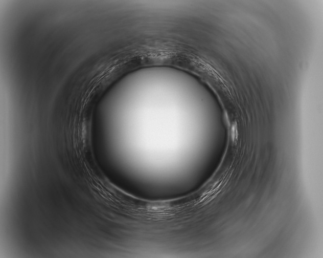 X0000096191299200802081511