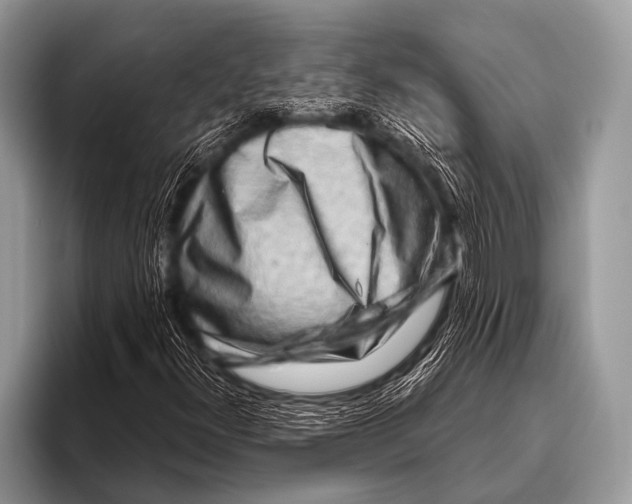 X0000096191300200802081511