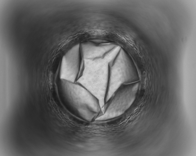 X0000096191301200802081511