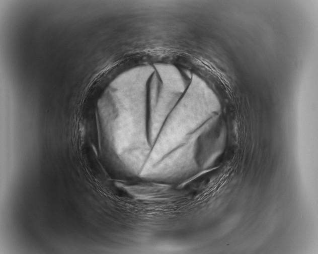 X0000096191302200802081511