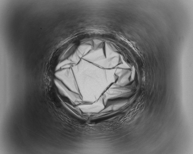 X0000096191303200802081512