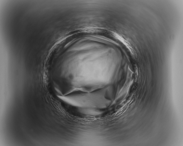 X0000096191304200802081512