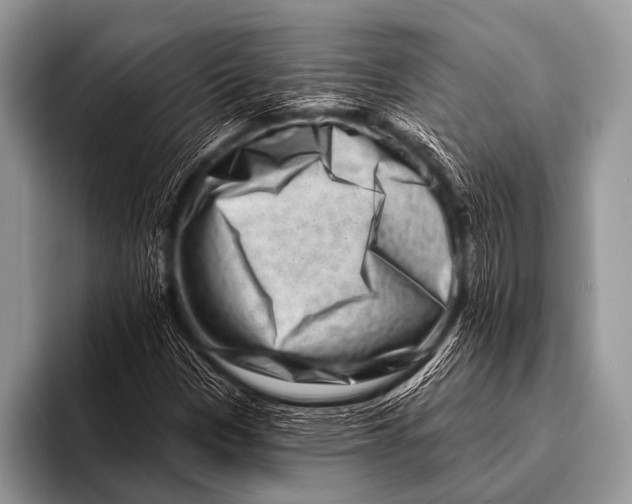 X0000096191305200802081512