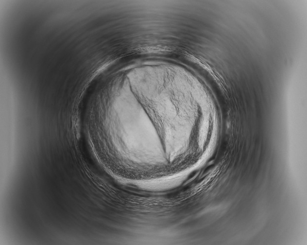 X0000096191306200802081512