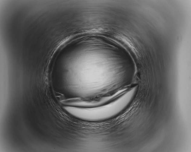 X0000096191308200802081512