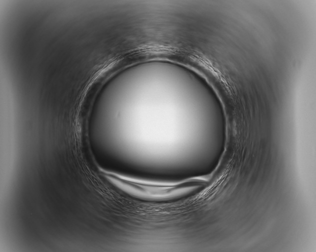 X0000096191309200802081512