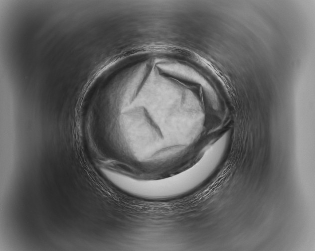 X0000096191312200802081512