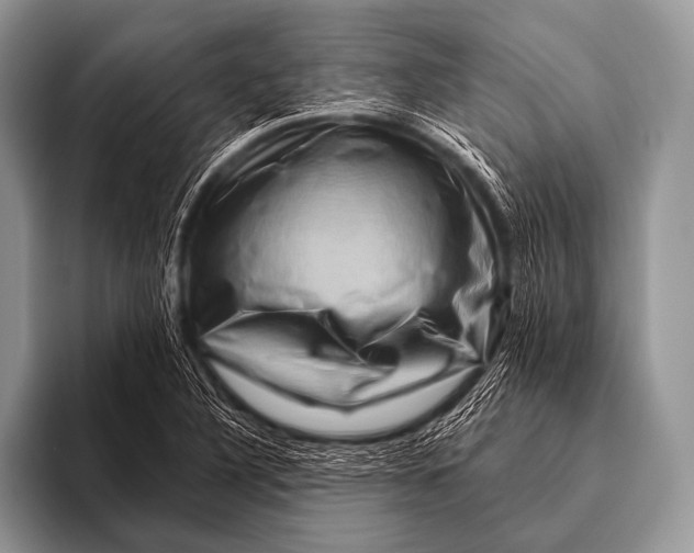 X0000096191316200802081512