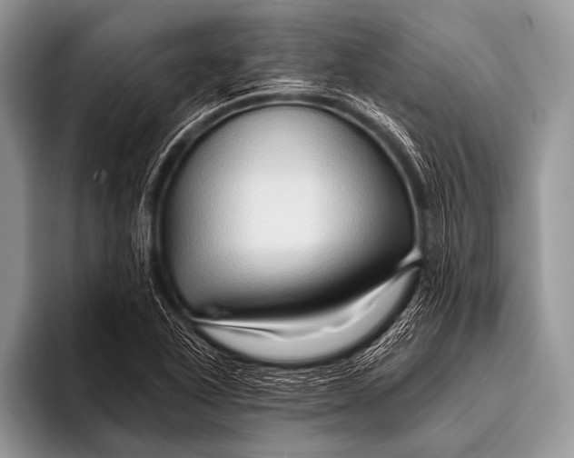 X0000096191318200802081512