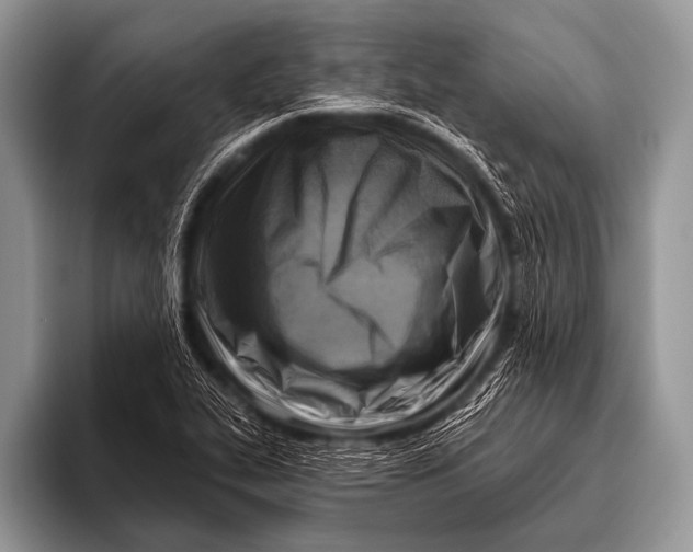 X0000096191319200802081512