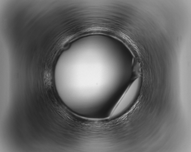 X0000096191321200802081512