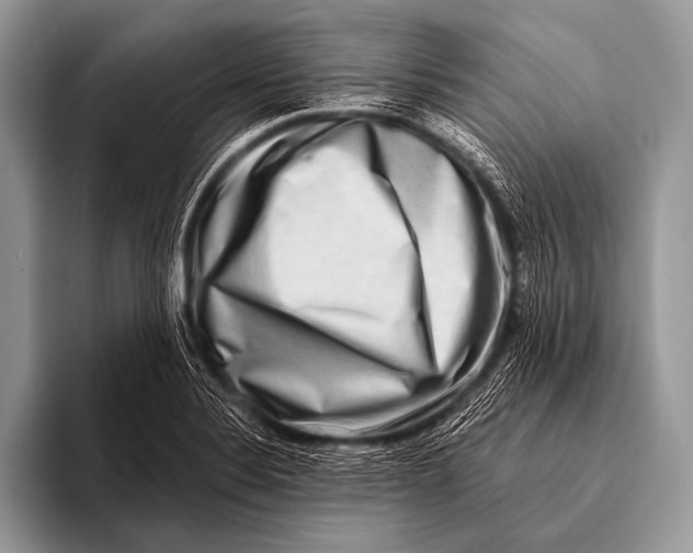 X0000096191324200802081512