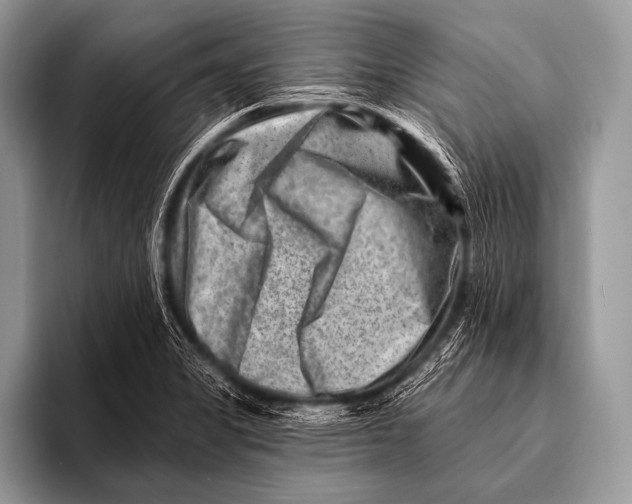 X0000096191325200802081512