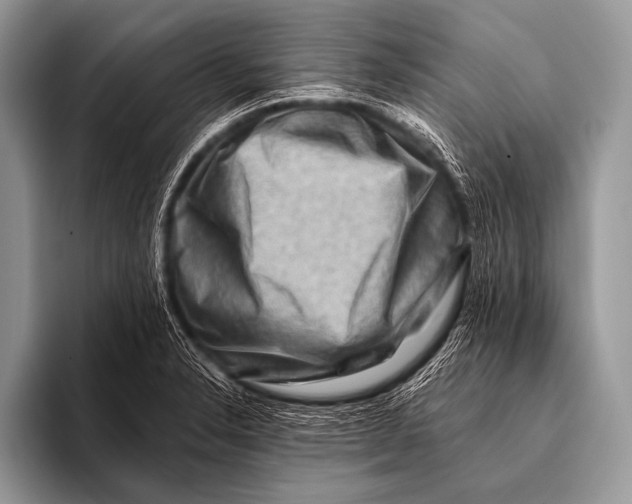 X0000096191326200802081512