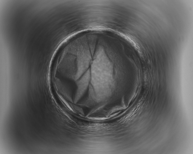 X0000096191327200802081512